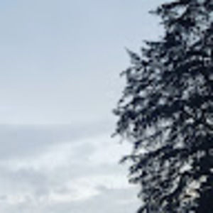 Meet your Posher, Johnathan